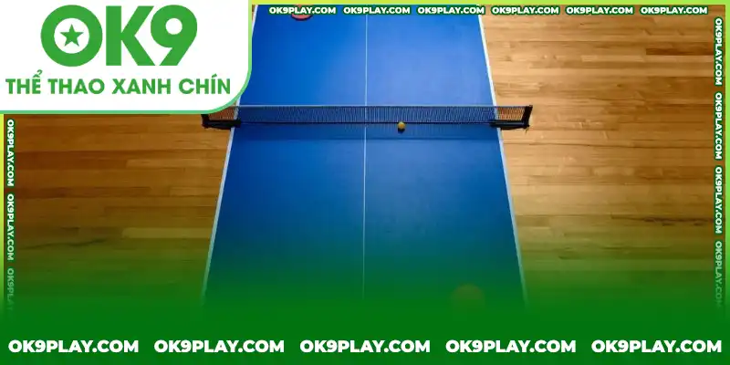 Mặt bàn tiêu chuẩn đúng luật chơi bóng bàn có hình dạng như ảnh Mặt bàn tiêu chuẩn đúng luật chơi bóng bàn có hình dạng như ảnh